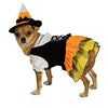 Candy Corn Witch Dog Halloween Costume