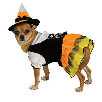 Candy Corn Witch Dog Halloween Costume