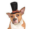 Caroler Dog Hat