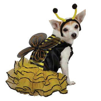 Casual Canine Bee Mine Dog Costume