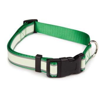 Casual Canine Glow Nylon Dog Collar - Green