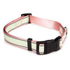 Casual Canine Glow Nylon Dog Collar - Pink