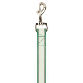 Casual Canine Glow Nylon Dog Leash - Green