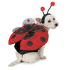 Casual Canine Ladybug Dog Costume