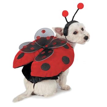 Casual Canine Ladybug Dog Costume