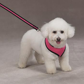 Casual Canine Mesh Dog Harness - Pink