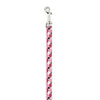 Casual Canine Pooch Pattern Dog Leash - Pink Argyle