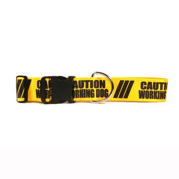 Caution Dog Collar by Yellow Dog - Working Dog