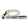 Chicago Cubs Frozen Rope Leather Dog Leash