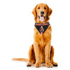 Cincinnati Bengals Tie On Dog Bandana