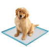 ClearQuest Silicone Puppy Pad Holder - Blue