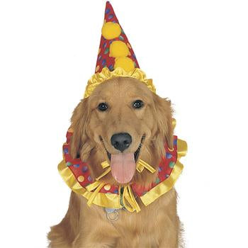 Clown Collar and Hat Dog Halloween Costume