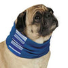 Cool Pup with Insect Shield Dog Neck Gaiter - Blue