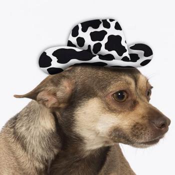 Cowboy Hat Dog Costume - Cow Print