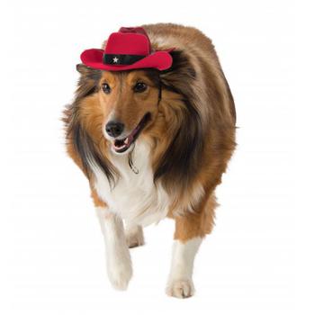 Cowboy Hat Dog Costume - Red