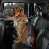 Cruising Companion Car Harness - Light Blue