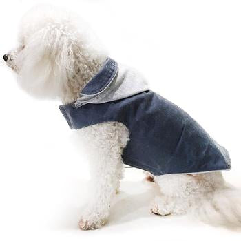 Daisy and Lucy Waxed Winter Dog Coat