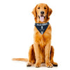 Dallas Cowboys Tie On Dog Bandana