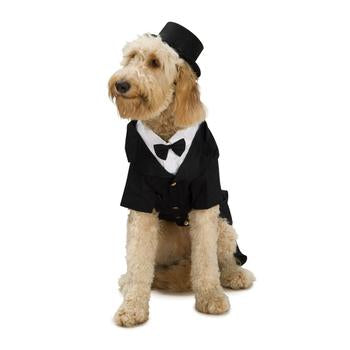 Dapper Dog Halloween Costume