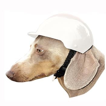 Dog Bike Helmet - White