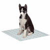 Dog is Good Potty Talk Puppy Pads