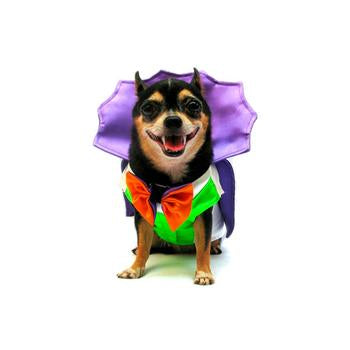 Dogula Halloween Dog Costume