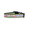 Easter Birdies Dog Collar