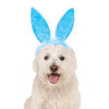 Easter Bunny Ears Dog Custume Headpiece - Blue