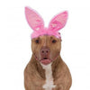 Easter Bunny Ears Dog Costume Headpiece - Pink