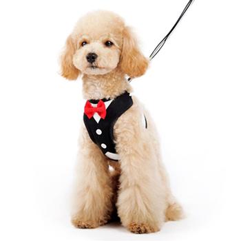 EasyGo Bowtie Dog Harness by Dogo - Black