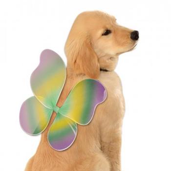 Fairy Wings Dog Costume - Mardi Gras