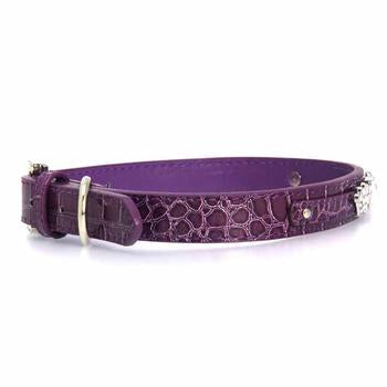 Faux Crocodile Two Tiered Dog Collar with 18MM Letter Strap - Purple