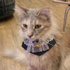 Felix Cat Collar Scarf by Catspia - Navy