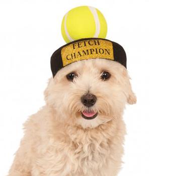 Fetch Champion Hat Dog Costume