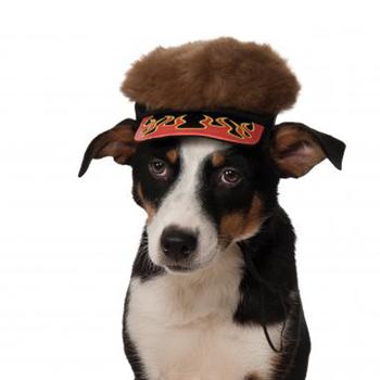 Flame Visor Dog Hat with Spikey Hair