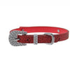 Foxy Glitz Dog Collar with Letter Strap by Cha-Cha Couture - Red