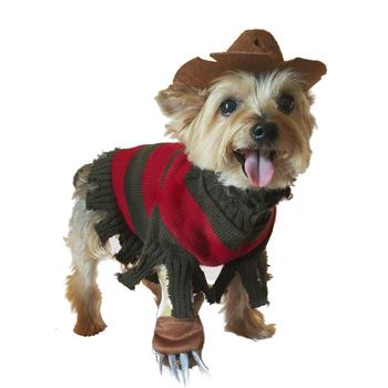 Freddy Krueger Dog Costume