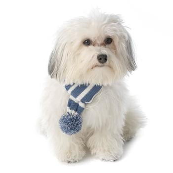 Frosty's Snowflake Dog Scarf - Winter Blue