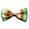 Funky Stripes Dog Bow Tie