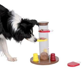 Gambling Toy Interactive Dog Toy