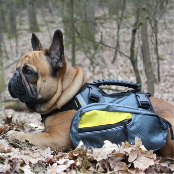 GF Pet 2-In-1 Dog Backpack - Yellow