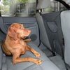 Guardian Gear Front Seat Vehicle Pet Barrier - Black