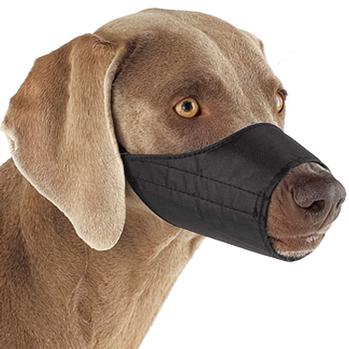 Guardian Gear Lined Dog Muzzle - Black