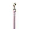 Guardian Gear Reflective Dog Leash - Pink