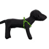 Guardian Gear Two-Step Dog Harness - Electric Lime