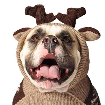 Handmade Moosey Wool Dog Hoodie