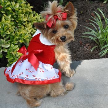 Holiday Dog Harness Dress by Doggie Design - Candy Canes