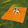 Insect Shield Pet Blanket - Carrot