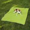 Insect Shield Pet Blanket - Fern