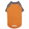 Insect Shield Premium Dog Shirt - Carrot